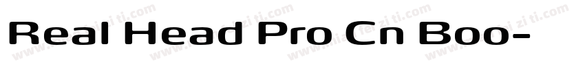 Real Head Pro Cn Boo字体转换